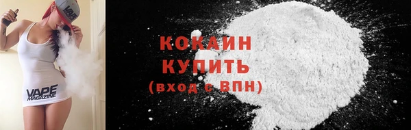 твердый Козельск