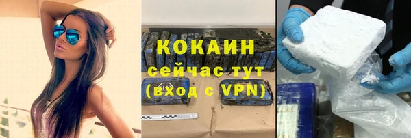 твердый Козельск