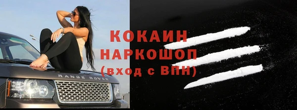 твердый Козельск