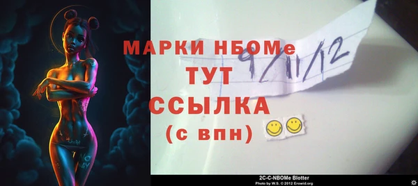 твердый Козельск