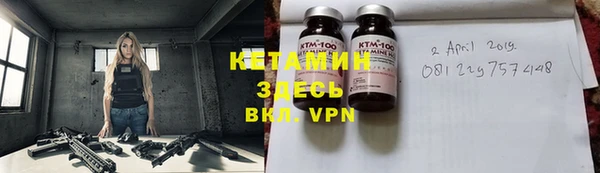 твердый Козельск
