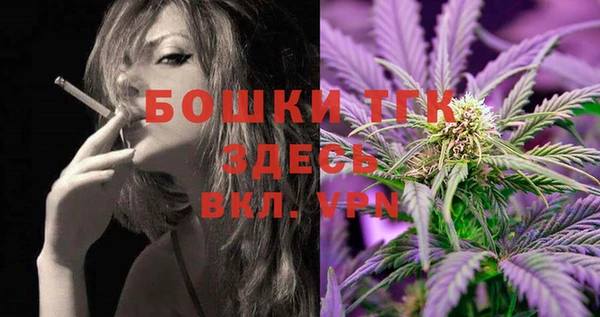 твердый Козельск