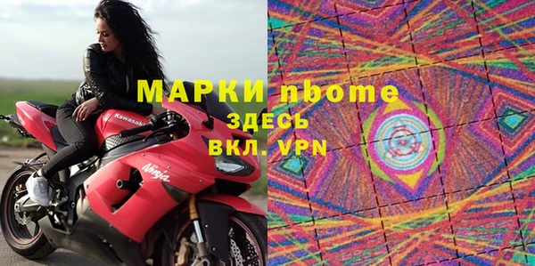 твердый Козельск