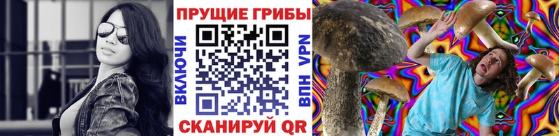 Галлюциногенные грибы Psilocybine cubensis  Ногинск 